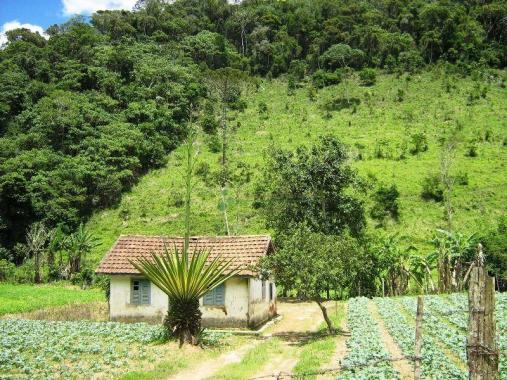 Fazenda rural à venda, Sebastiana, Teresópolis. - Foto 7
