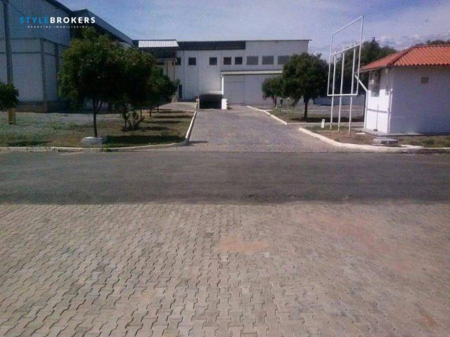 Fazenda no Estado da Bahia - Foto 15