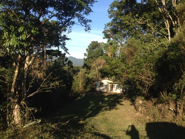 Chácara na Roça Velha - SJP/PR - Foto 2