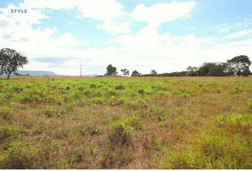 Fazenda em jangada - MT - Foto 11