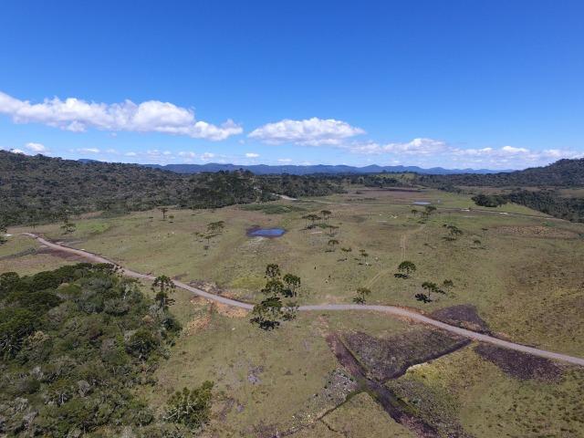 Sitio chácara em Urubici/ área rural - Foto 9