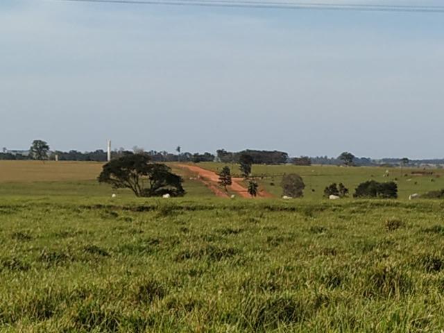 Fazenda Divisa com Paraguai 3.354 Alqueires Paulista!!!!!!