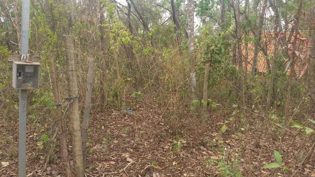 Lote 991m2 - Represa de Três Marias - Felixlândia - Foto 18