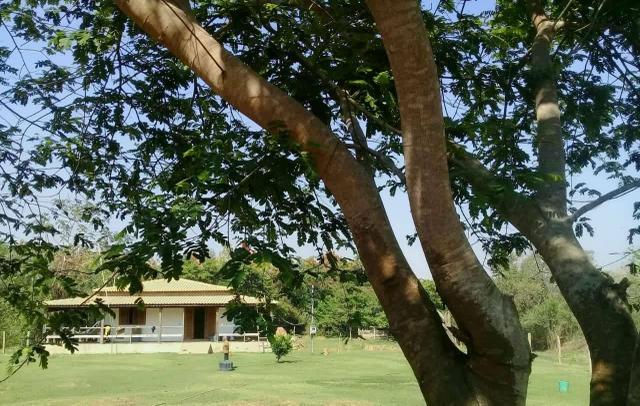 Citio em Barão de Melgaço na beira do rio cuiaba