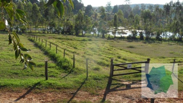 Haras à Venda em Sarapuí/SP - Foto 11