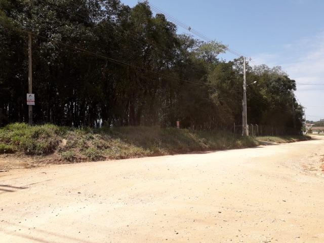 Chácara com 39.631m2 em Campina Grande do Sul - Aceito Imóvel Com Volta - Foto 2