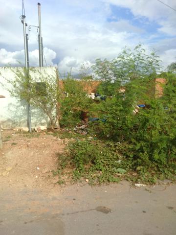 Terreno bairro Dr Fábio 1