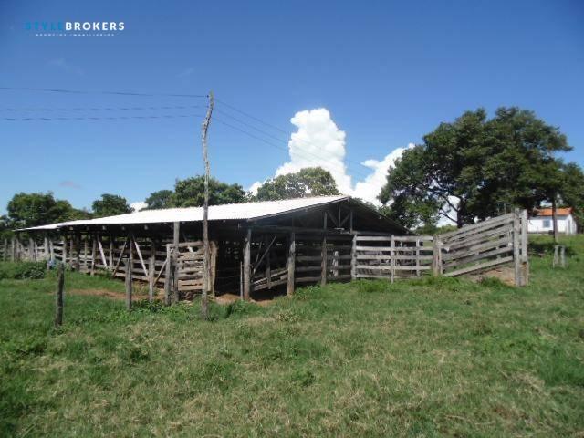 Fazenda à venda, 800000 m² por R$ 550.000,00 - Zona Rural - Nossa Senhora do Livramento/MT - Foto 18