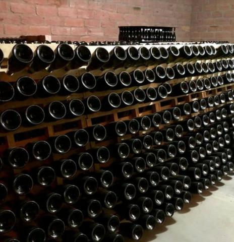 Vinícola em Gramado em produção - Foto 2