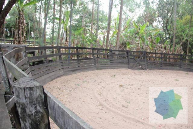 Haras à Venda em Sarapuí/SP - Foto 18
