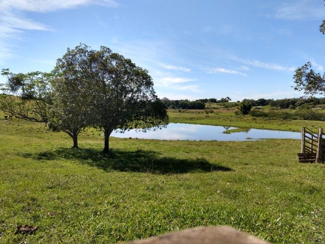 Sítio 16,6 Hectares - Barro Vermelho - Gravataí - RS - Foto 15