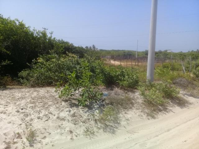Vendo Terreno Atins Lençóis Maranhenses - Foto 4