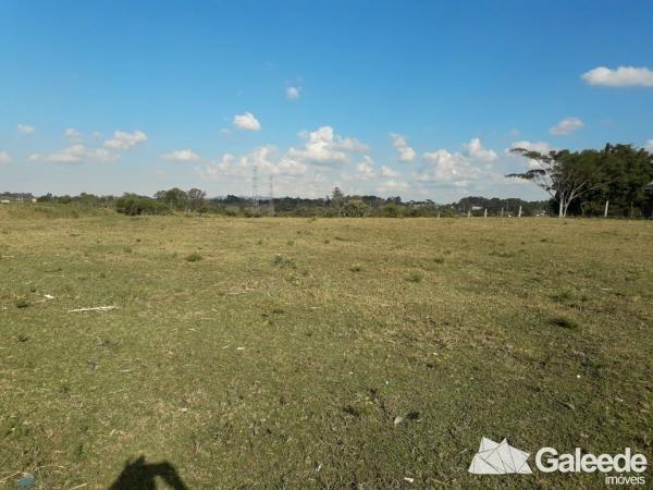 Área Industrial - São José dos Pinhais - Foto 3