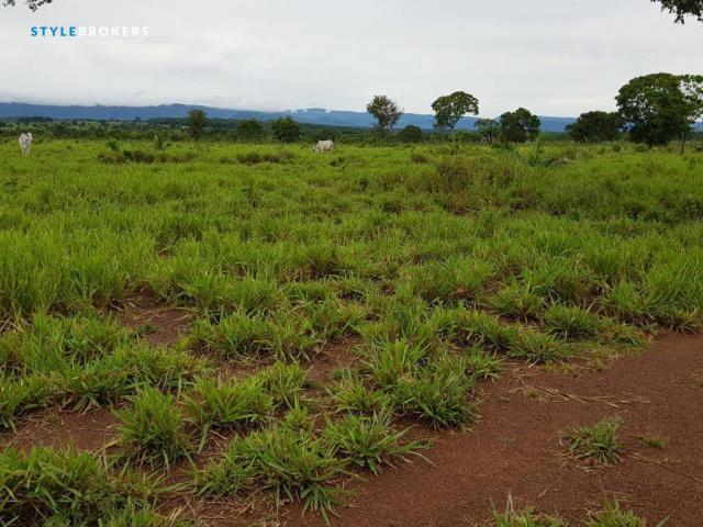 Fazenda em Porto Esperidião - Foto 7