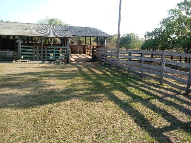 Fazenda Proximo da Estrada da Guia - Foto 14
