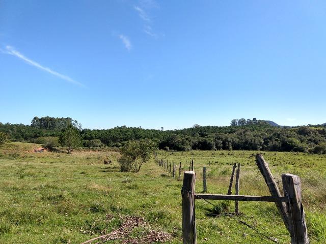 Sítio 16,6 Hectares - Barro Vermelho - Gravataí - RS - Foto 9