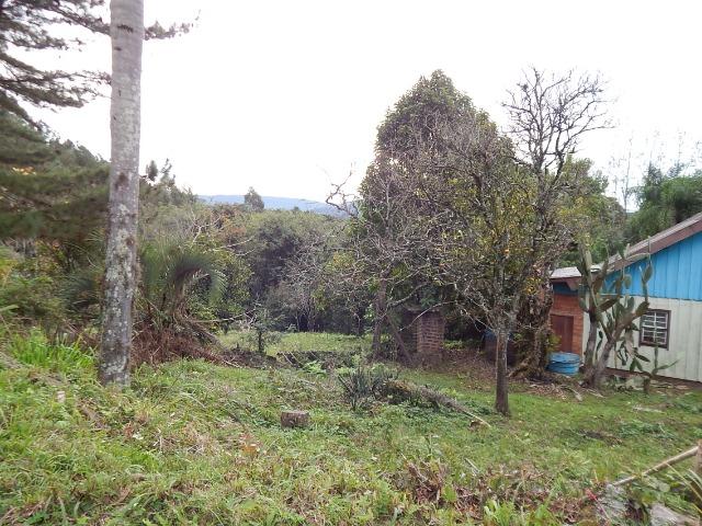 Barbada! Lindo sítio em Gramado/RS - Foto 3