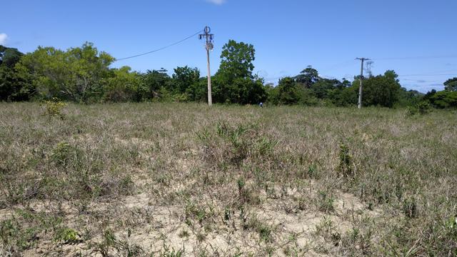 Terreno Olhos dagua - Foto 3
