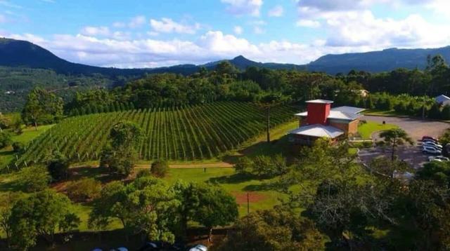 Vinícola em Gramado em produção - Foto 10