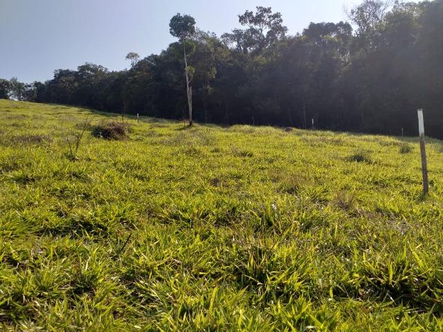 (LD) Terreno muito bem localizado! - Foto 3