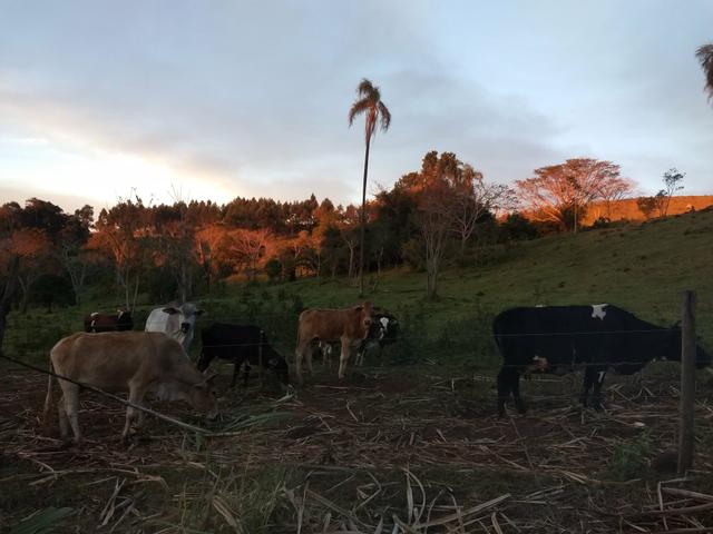 Vende-se ou troca - Foto 2