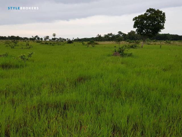 Fazenda em Porto Esperidião - Foto 9