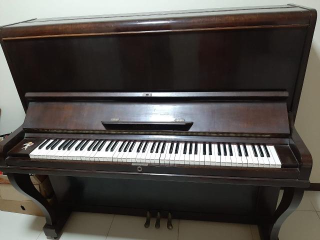 Piano Essenfelder - Conservadissímo - Foto 2