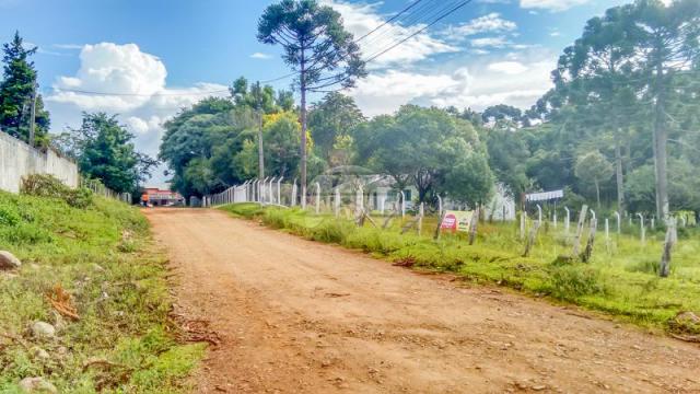 Terreno à venda em Boqueirão, Guarapuava cod:142198 - Foto 2