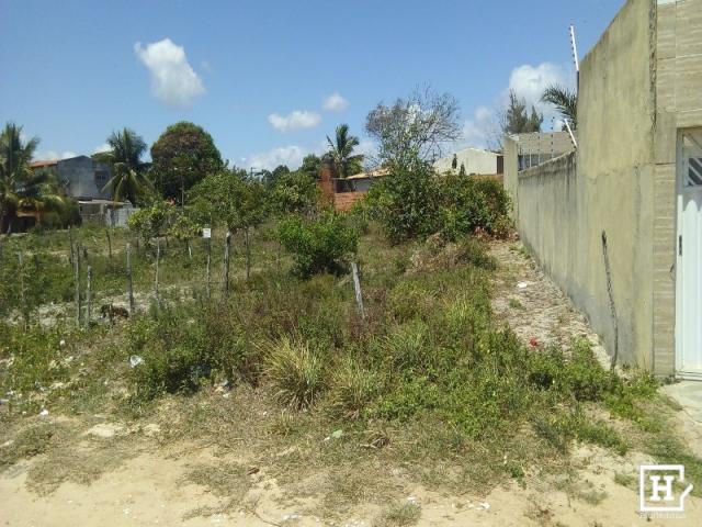 Lote à venda - mosqueiro (zona de expansão) - Foto 8