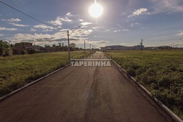 Terreno à venda em Pinheiro machado, Santa maria cod:10767