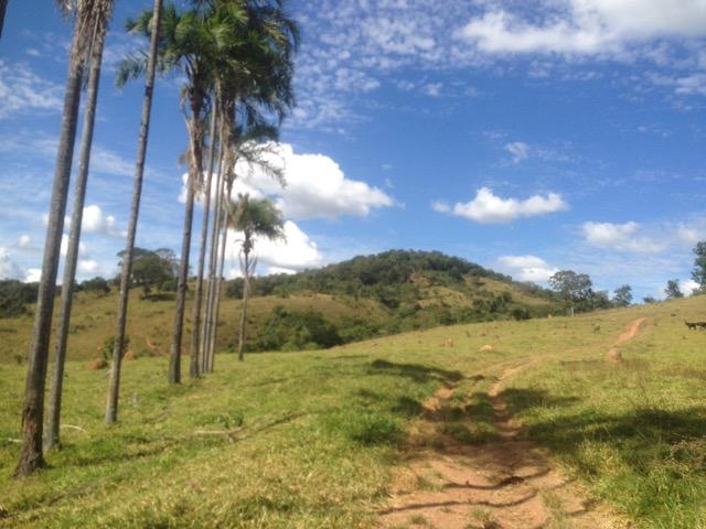 Fazenda caruru Valor R$ 1,400,000 - Foto 8