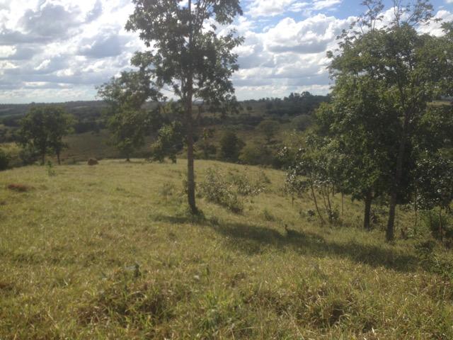 Fazenda caruru Valor R$ 1,400,000 - Foto 6