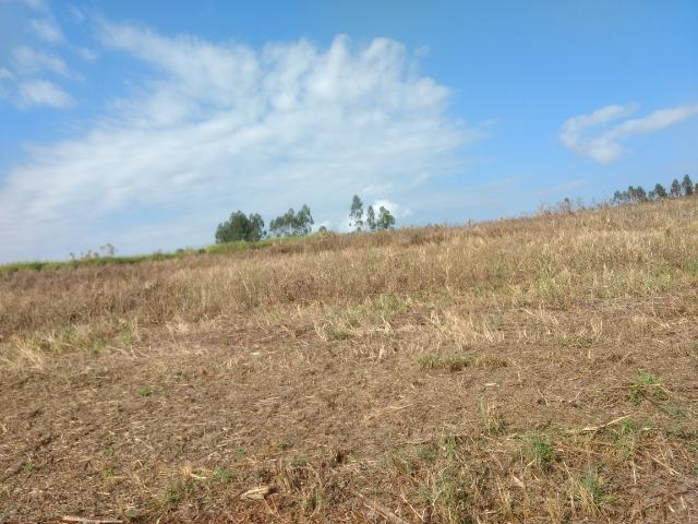 Alugo Fazenda p Arrendamento no Ms 1000 há - Foto 18