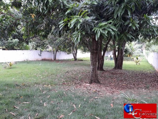 Chácara com mina d'água, tanque para peixes, casa, varanda, chuurrasqueira - Foto 15