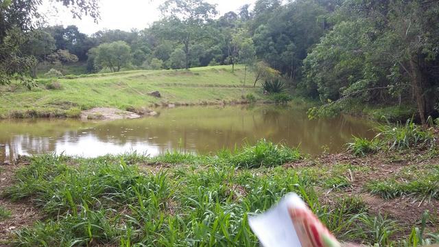 05- Paz em um lote de 1000mt² em área Rural - Foto 19