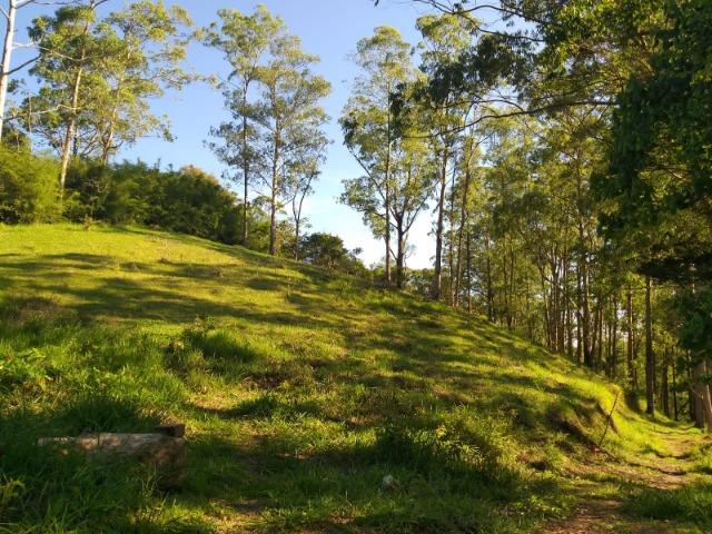 22 - Vendo Lindo Lote de 1000 m² . Garanta Agora !!! - Foto 7