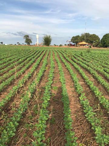Fazenda Porangatu 100 alqueros - Foto 2