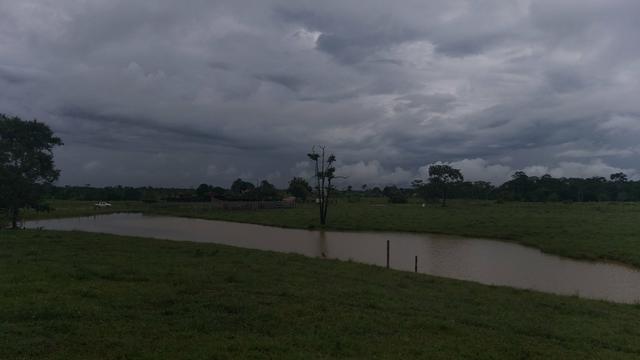 Colônia - Foto 2