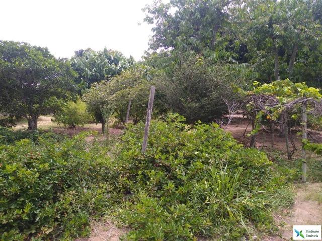 Chácara em Jacaraípe, 2.160m² - Foto 10