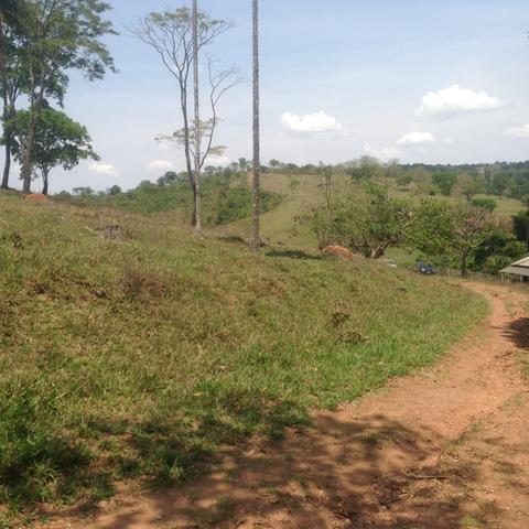 Fazenda caruru Valor R$ 1,400,000 - Foto 14