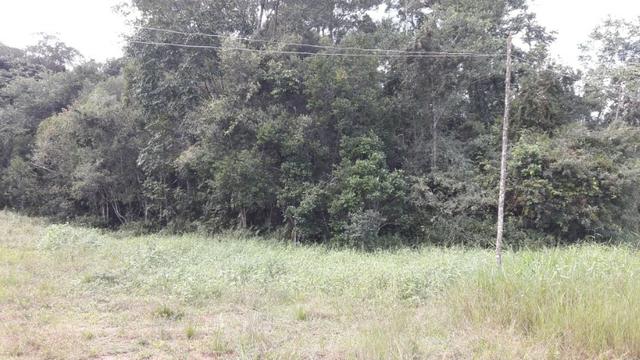 Terreno à venda, 624 m² por R$ 65.000,00 - Praia do Imperador - Itapoá/SC - Foto 6
