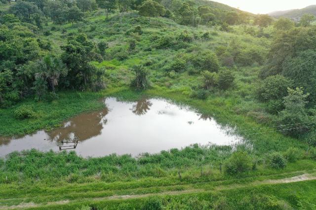 Fazenda no município de faina-GO! 24 Alqueires! - Foto 2