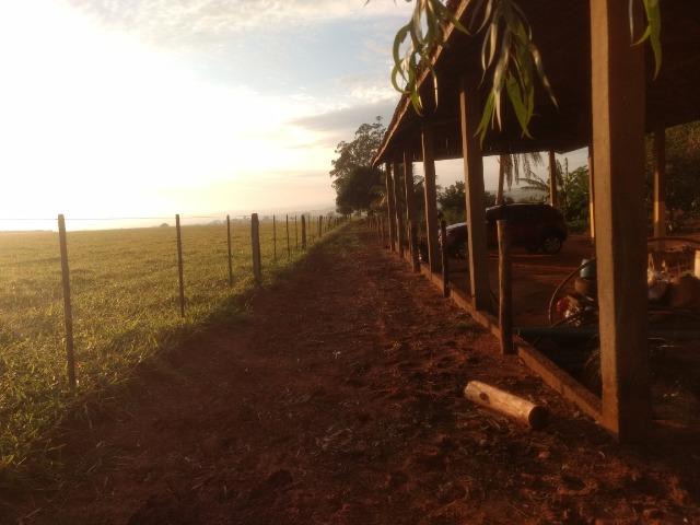 Alugo Fazenda p Arrendamento no Ms 1000 há - Foto 13