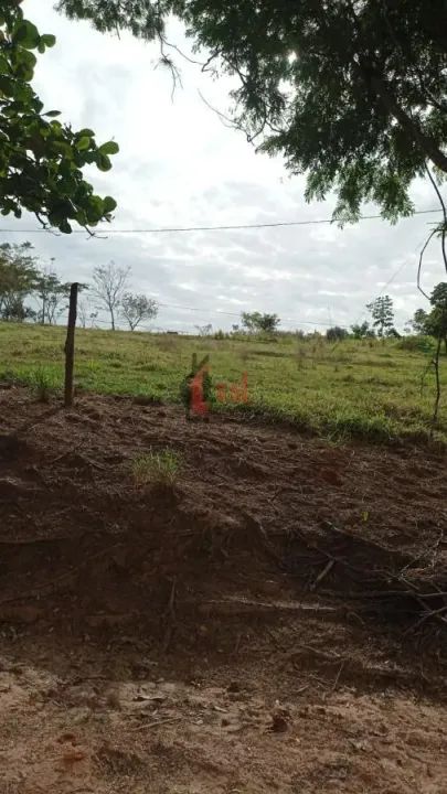 Sítio para Venda em Regente Feijó, CAFÉ NOVO - Foto 2
