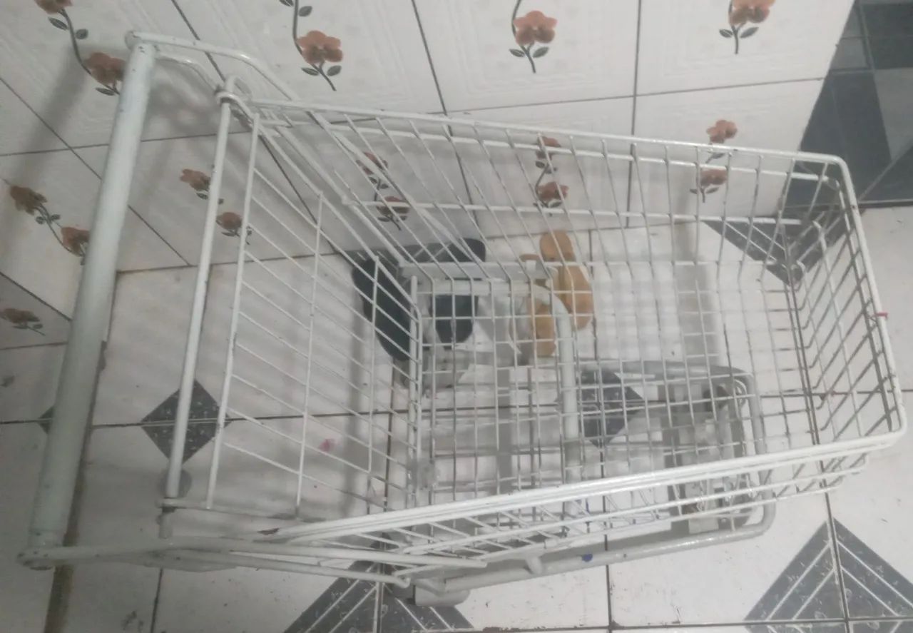 Carrinho de compras cinza em ótimo estado