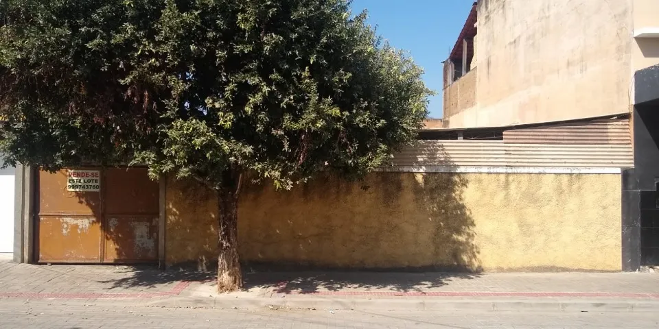 Terreno Centro São Fidelis 300 m2