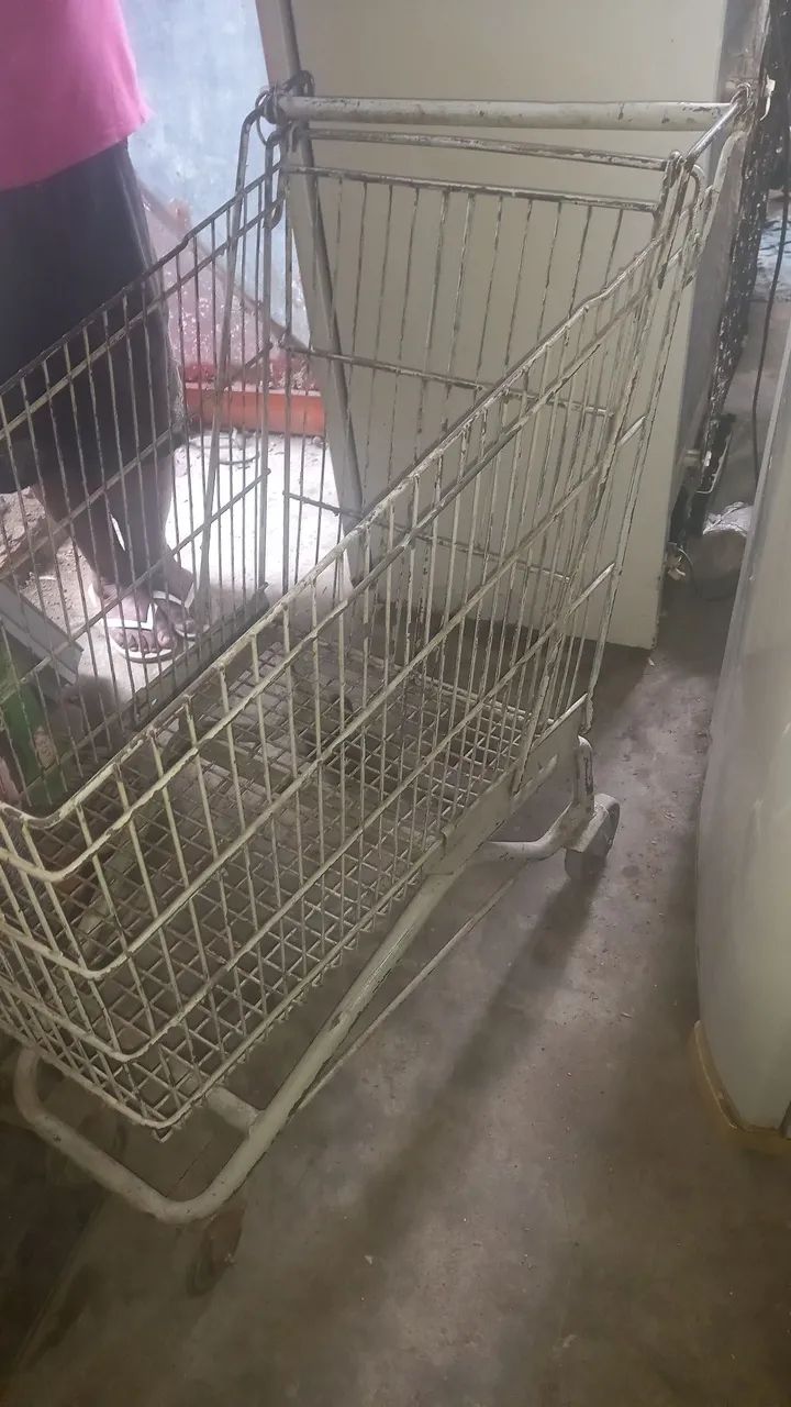 Carrinhos de mercadorias 