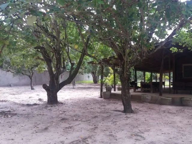 Chácara em Macaíba/RN - Venda ou Aluguel - Foto 4