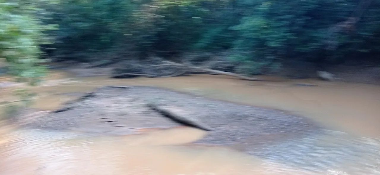 Fazenda cultura dentro Brasília rio descoberto porteira fechada troca casa boa - Foto 4