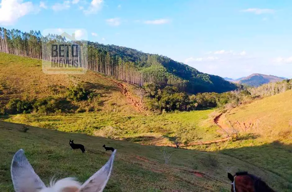 Fazenda/Sítio/Chácara para venda possui 6195200 metros quadrados em Centro - Cambuci - RJ